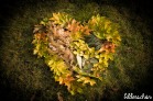 Liebe zum Herbst